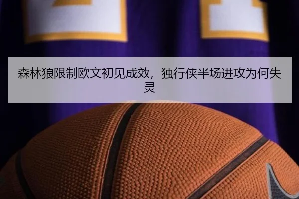 森林狼限制欧文初见成效，独行侠半场进攻为何失灵