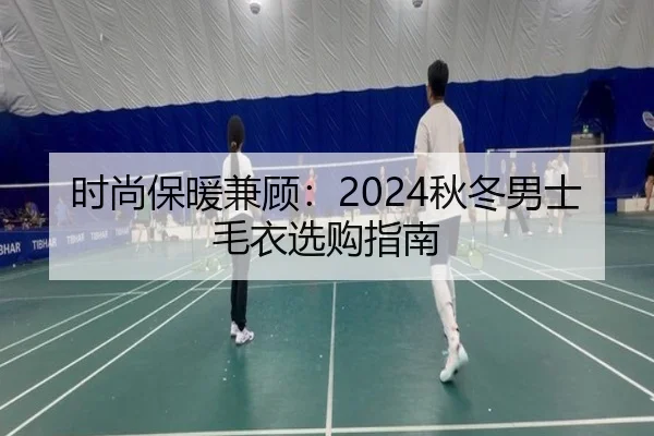 时尚保暖兼顾：2024秋冬男士毛衣选购指南